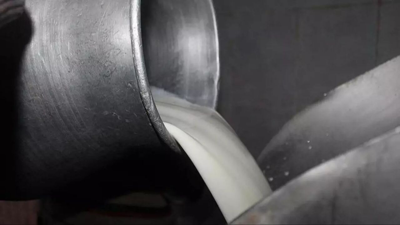 Çiğ süte yeni yağ oranı düzenlemesi Resmi Gazete'de yayımlandı