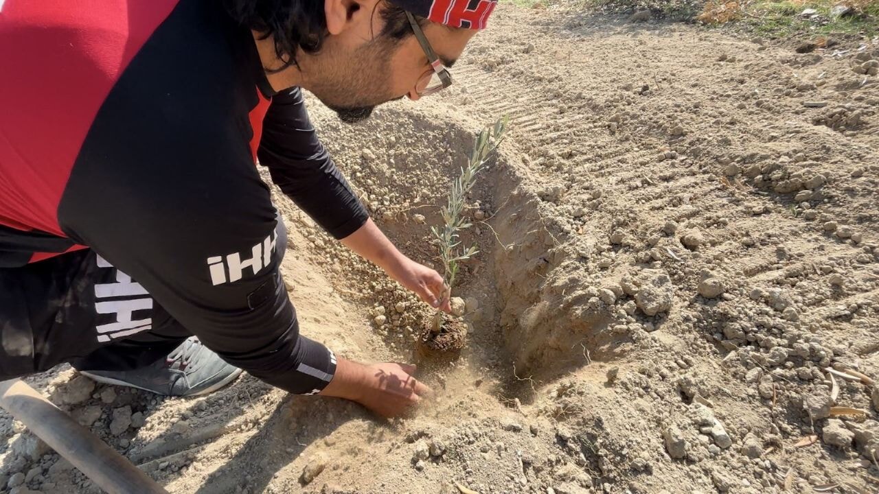 Milli Ağaçlandırma Günü'nde İHH'dan çiftçilere fidan desteği