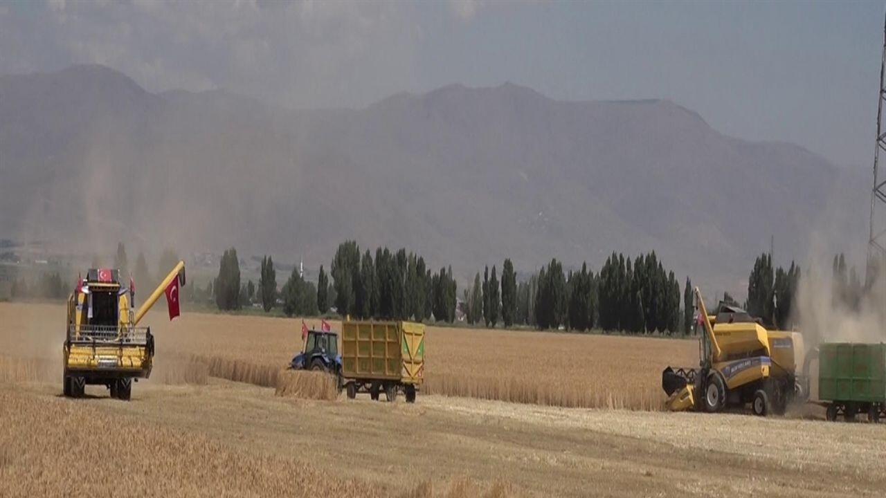 Buğday, mısır, ayçiçeği üretimi düşecek
