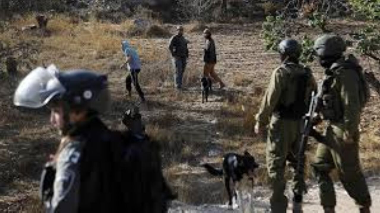 Filistin topraklarını gasbeden İsraillilerin Batı Şeria'daki saldırıları sürüyor