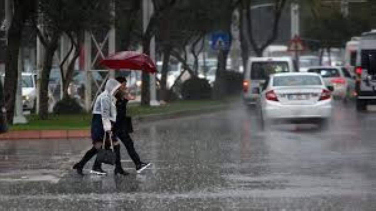 MGM'den kuvvetli rüzgar ve sis uyarısı: İşte bölge bölge hava durumu