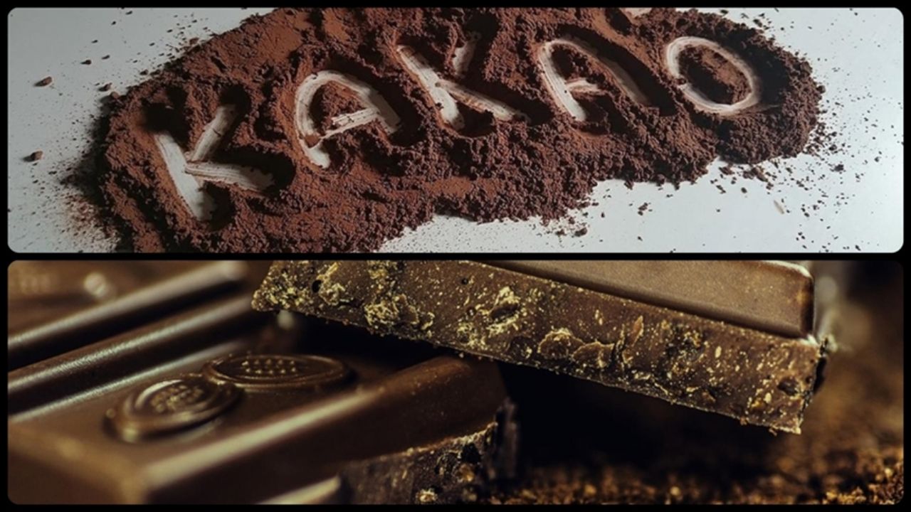 Kakao fiyatlarında büyük düşüş