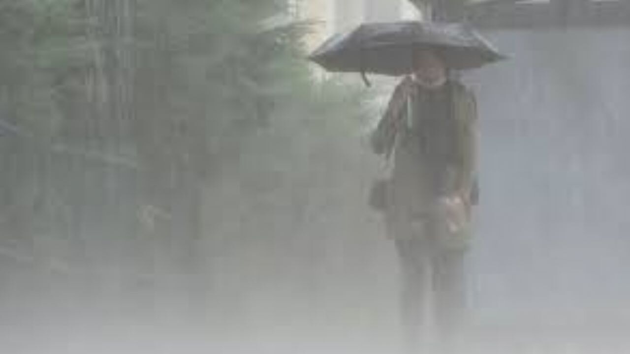 Meteoroloji'den yağış ve sis uyarısı