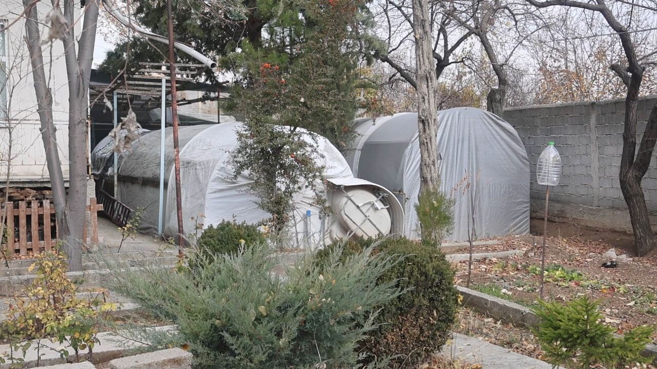 Bu serada sebze değil klasik araba yetişiyor