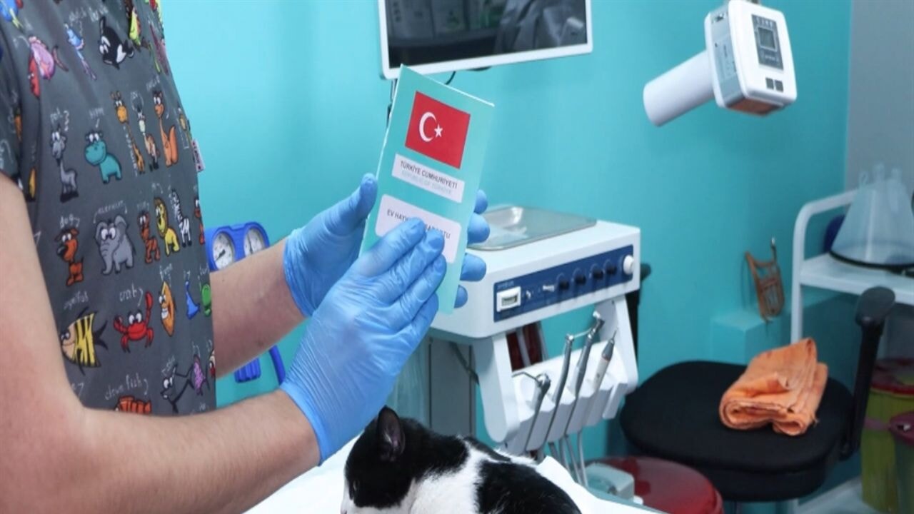 Evcil hayvanlar için çip uyarısı