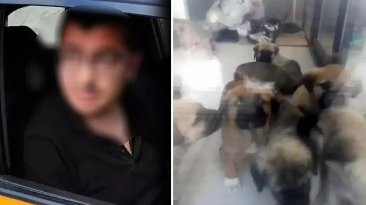 Köpeklere cinsel istismarda bulunup öldüren doktor hakkında yeni gelişme