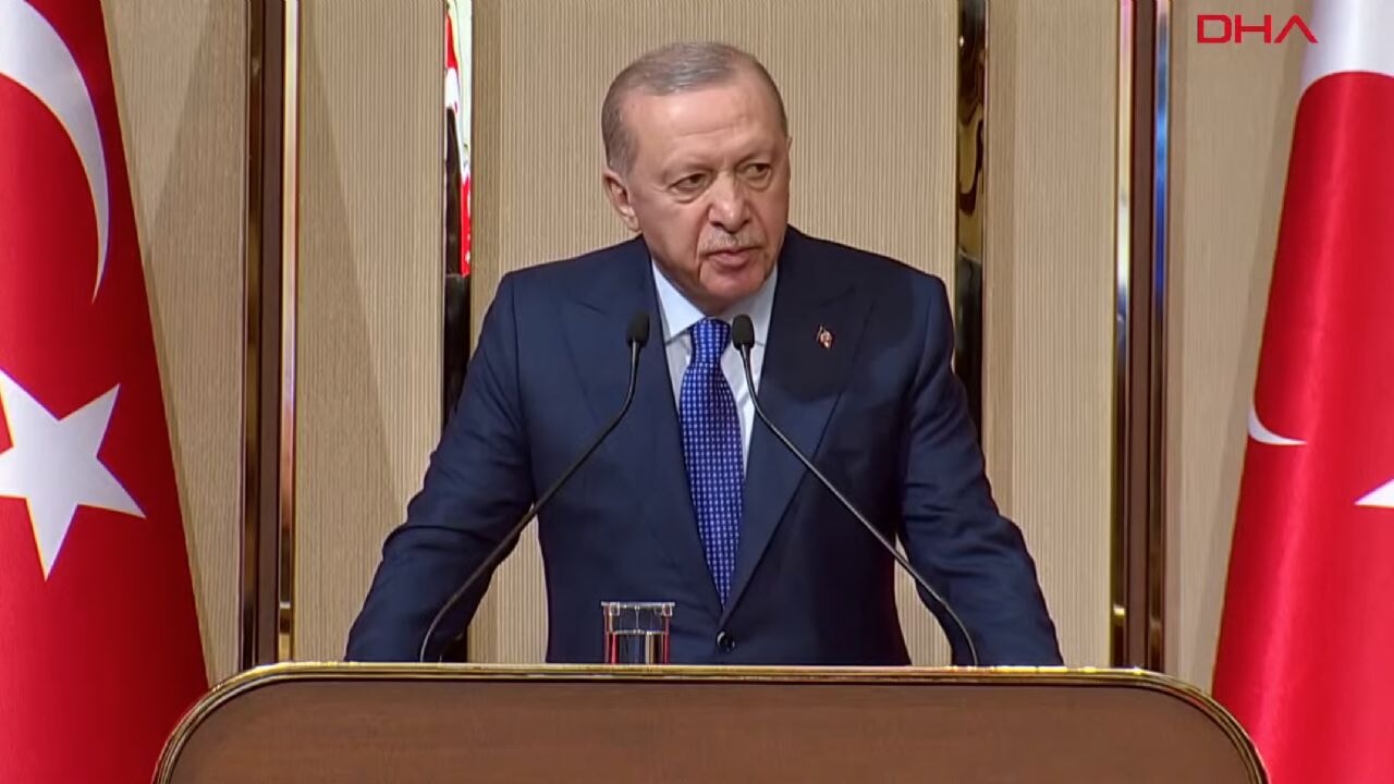 Cumhurbaşkanı Erdoğan'dan Rusya ve Ukrayna'ya çağrı