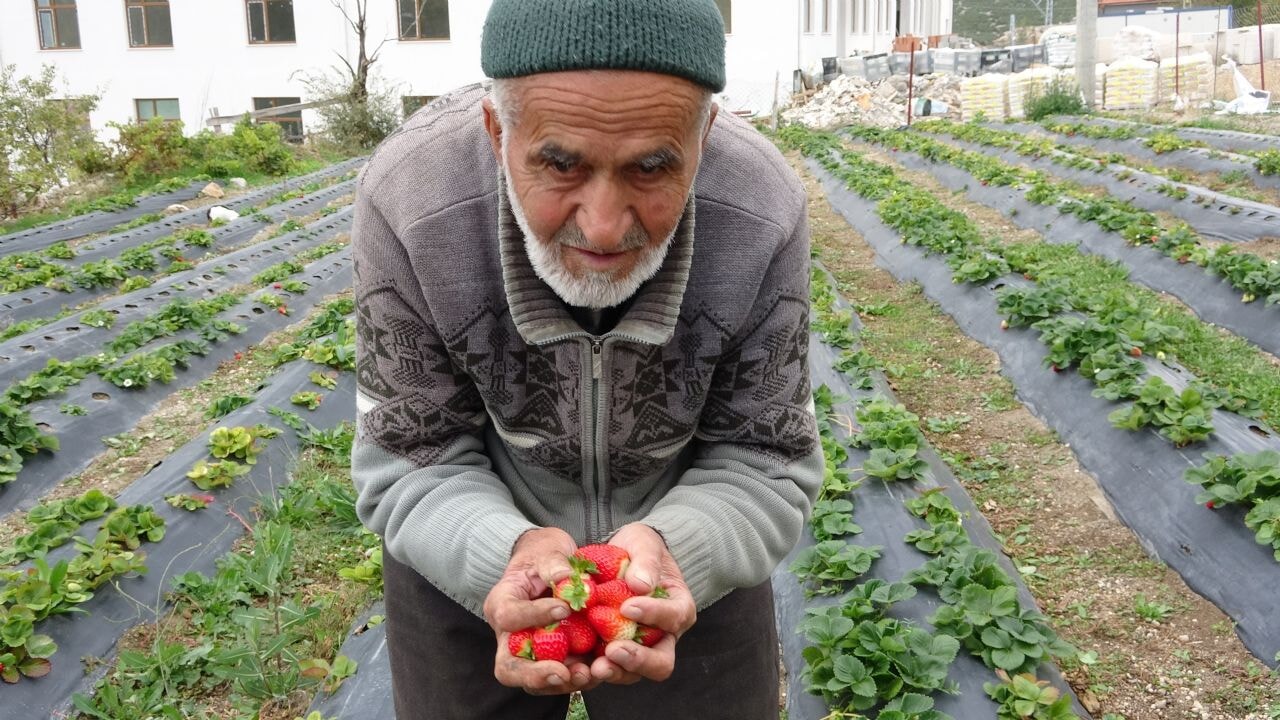 Türkiye onu 'Hayır Bahçesi' ikramlarıyla meyvelerle tanıdı, bugün acı haber geldi