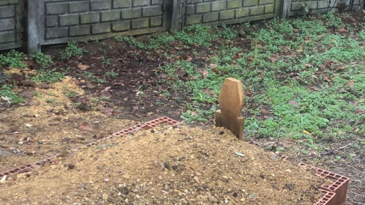 Köpeğin vefası: Sahibinin mezarından ayrılmayan köpek duygulandırdı