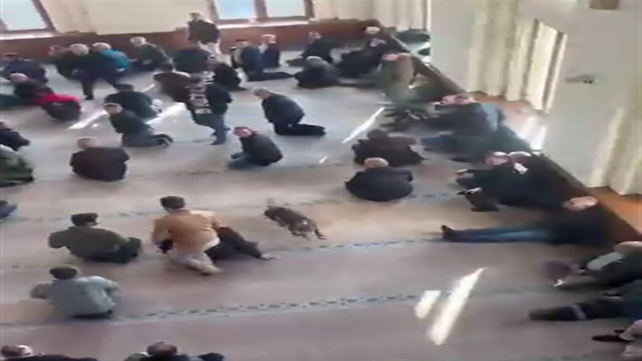 Cuma vaazında pitbull cemaatin arasına daldı!