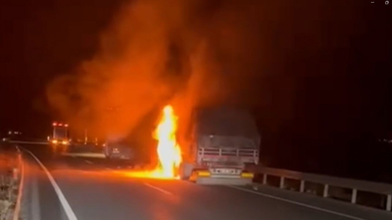 Erzincan'da seyir halindeki tır alev alev yandı