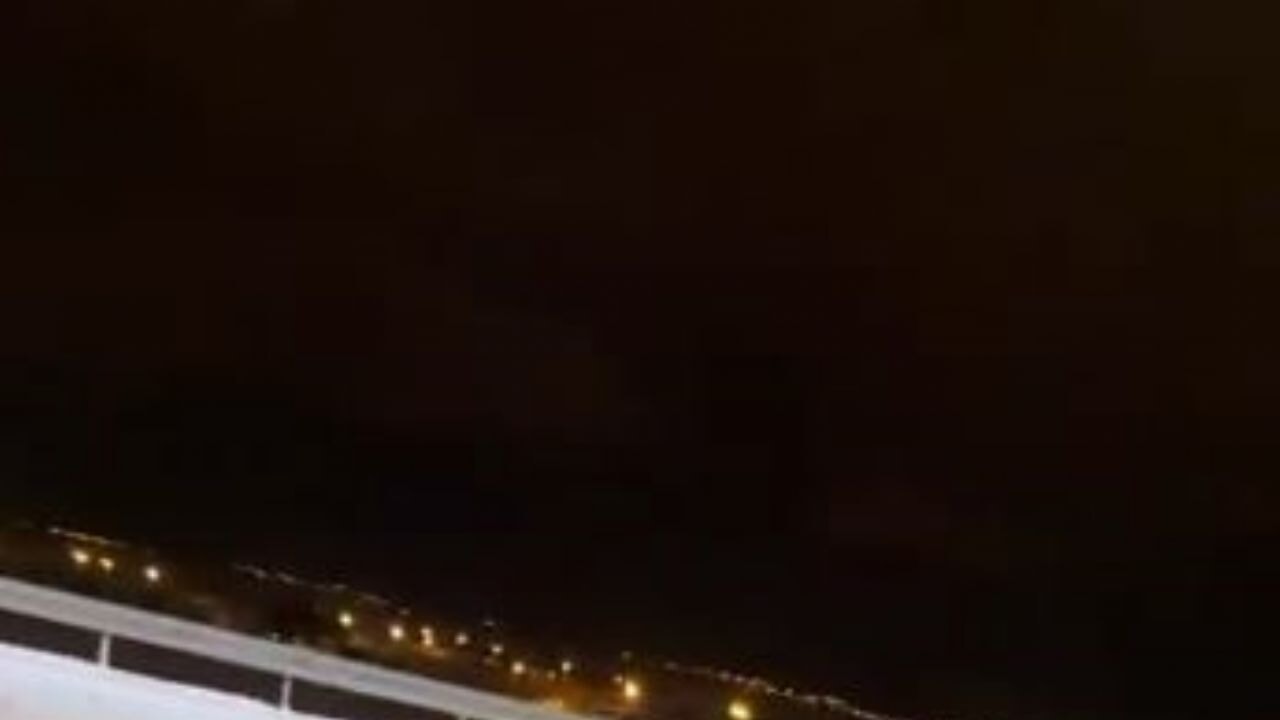 Ardahan'da şehre inen kurt görüntülendi