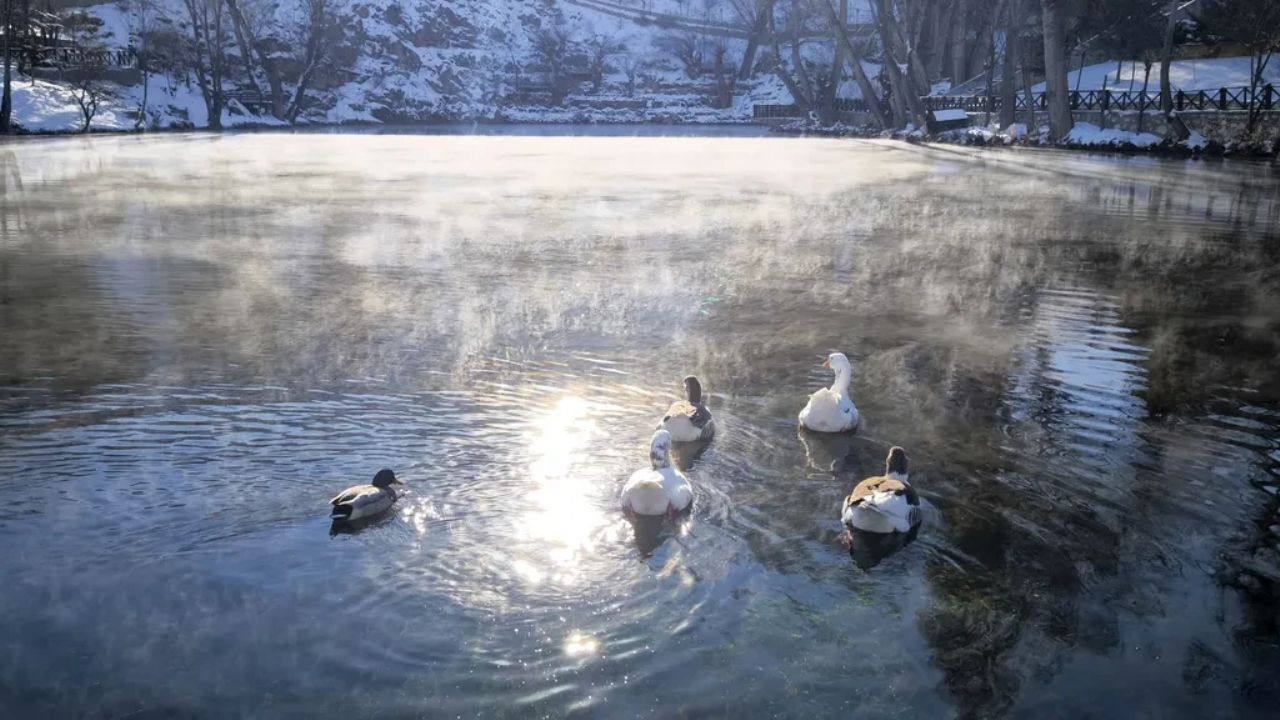 Eksi 30 derece şaşırtan olay! Her yer buz tuttu, bir tek burası donmadı