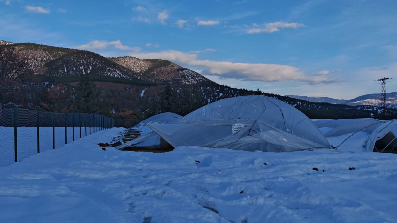 Seraların çökme anı kamerada: Kar altında kaldı