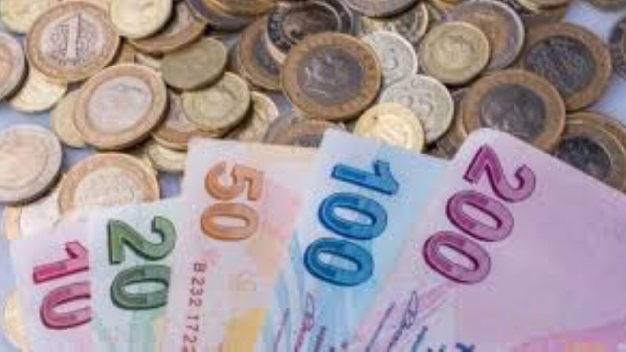 Bireysel Emeklilik Sistemi'nde katkı oranı değişti