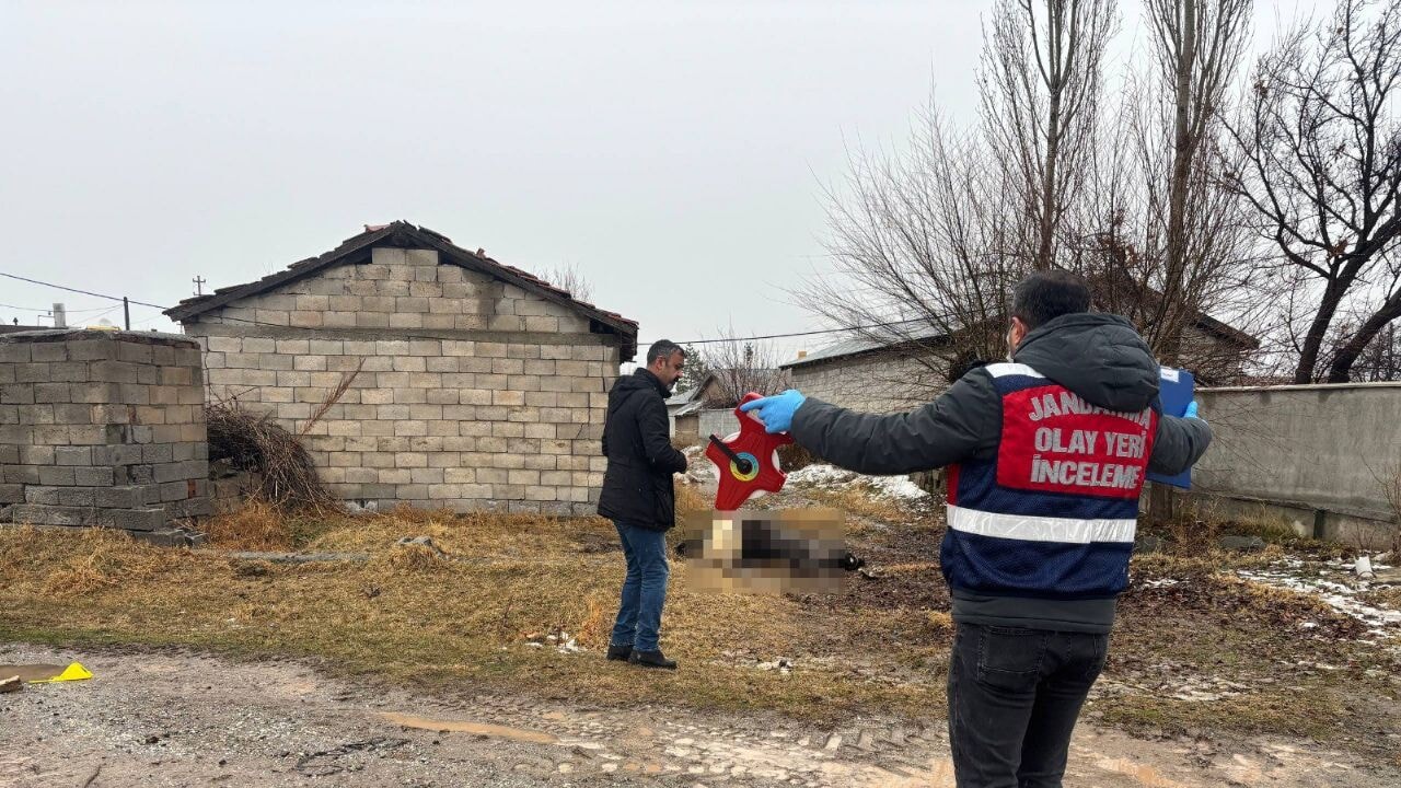 Erzincan'da at ve eşek silahla katledildi