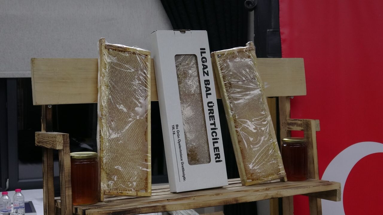 Çankırı'dan dünyaya rekor kıran bal