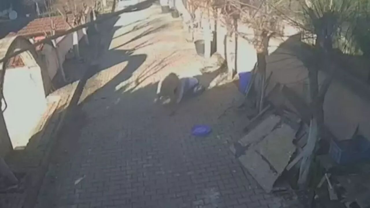 Silivri'de beslediği koçun dakikalarca saldırısına uğradı, kaburgaları kırıldı