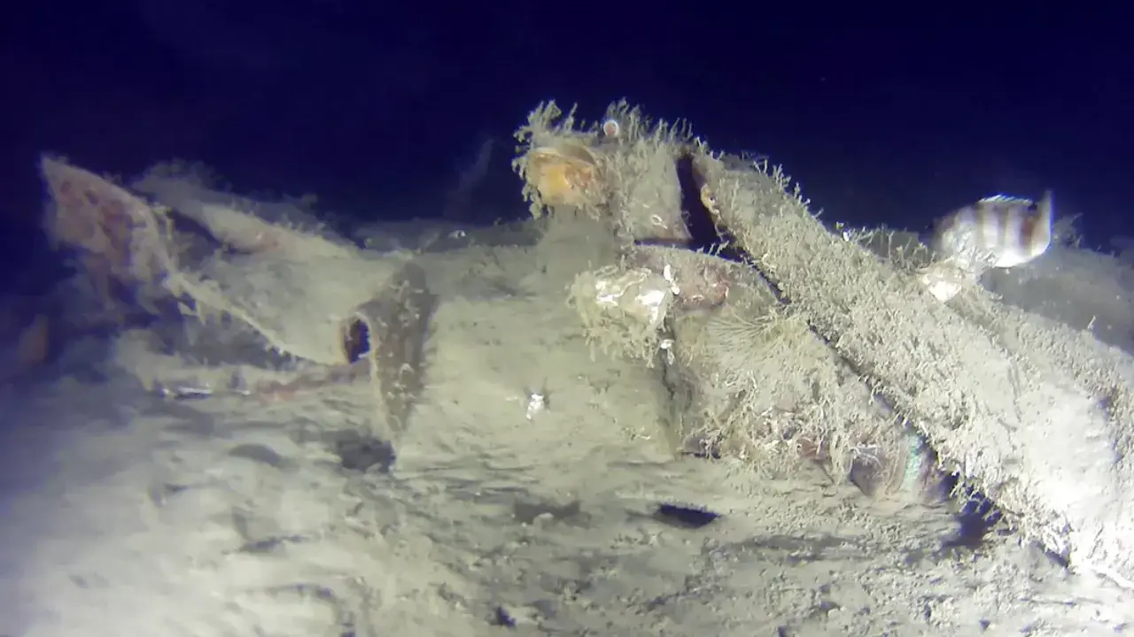 Marmara'da düşen THY uçağından yeni bulgular