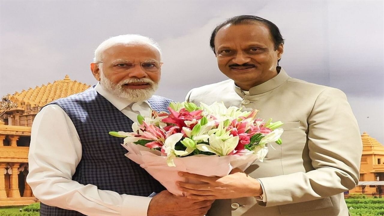 Hindistan'da Başbakan Yardımcısının uçağı düştü: 5 ölü