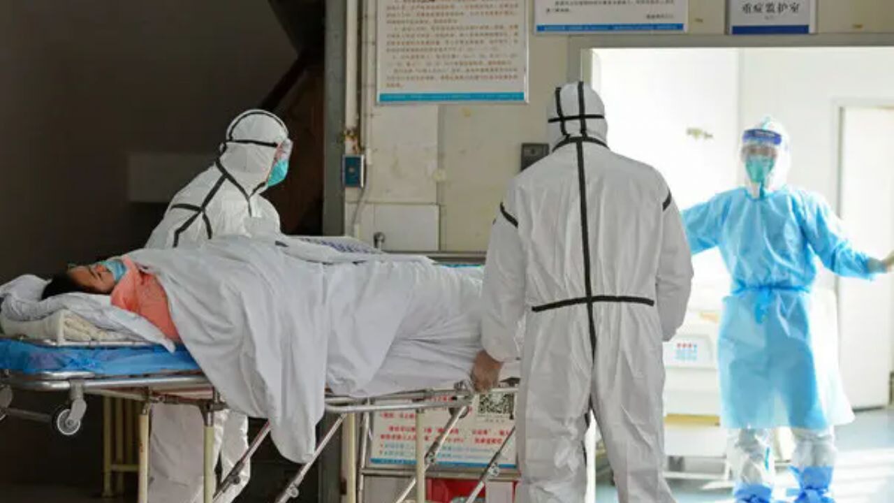 Yarasalardan bulaşan ölümcül virüse karşı uyarı