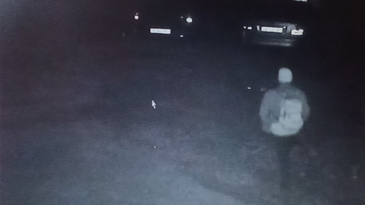 Başından vurulmuş halde ölü bulundu