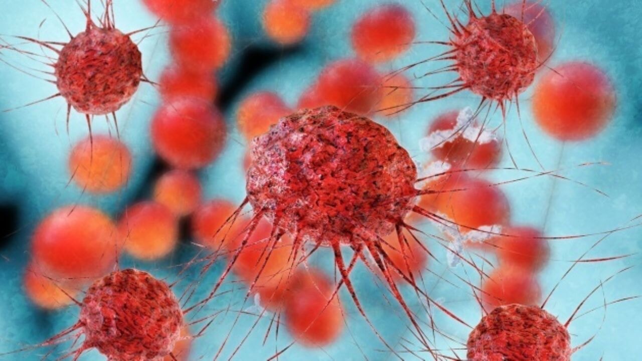 3 alışkanlık kanser riskini azaltıyor