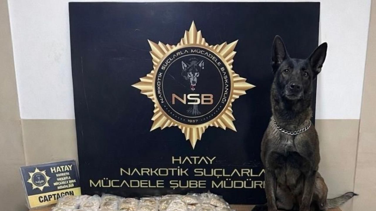 Zeytinyağı tenekelerinden 100 bin uyuşturucu hap çıktı   