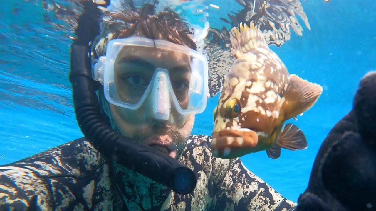 Denizden 'büyü malzemesi' çıkarıyor