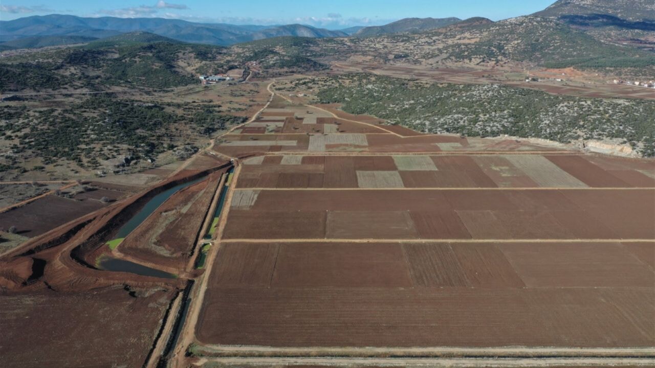 Yargıtay'dan ortak tapulu arsalar için emsal karar! 3. kişilere satış gerçekleştirilebiliyor mu?