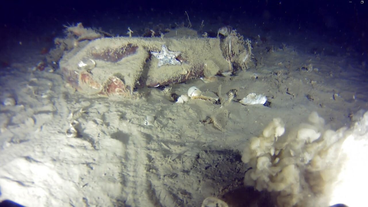 51 yıl önce düşen THY uçağına ait yeni izler bulundu