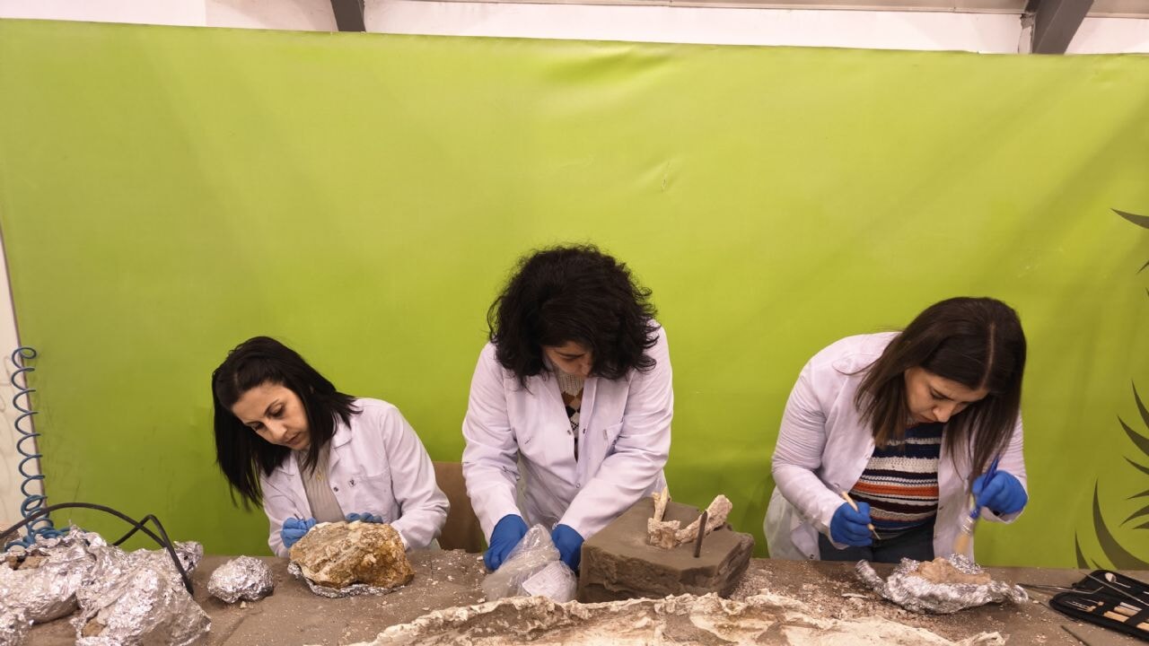 7,7 milyon yıllık tarihe ışık tutan Taşhan'da yeni keşifler