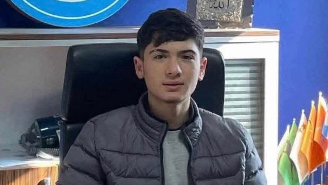 Yine bir sokak köpeği vakası! Köpekten kaçarken canından oldu