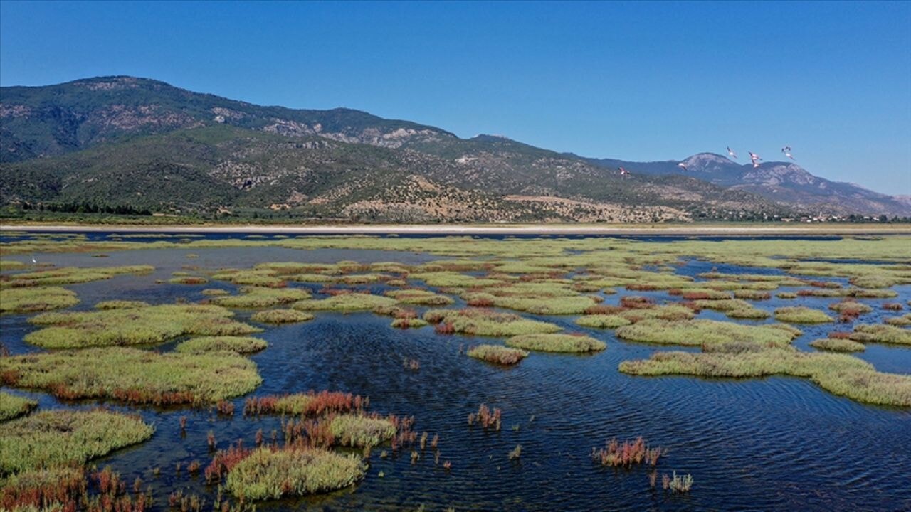 Milli Parklar ile ilgili düzenleme Meclis'te kabul edildi