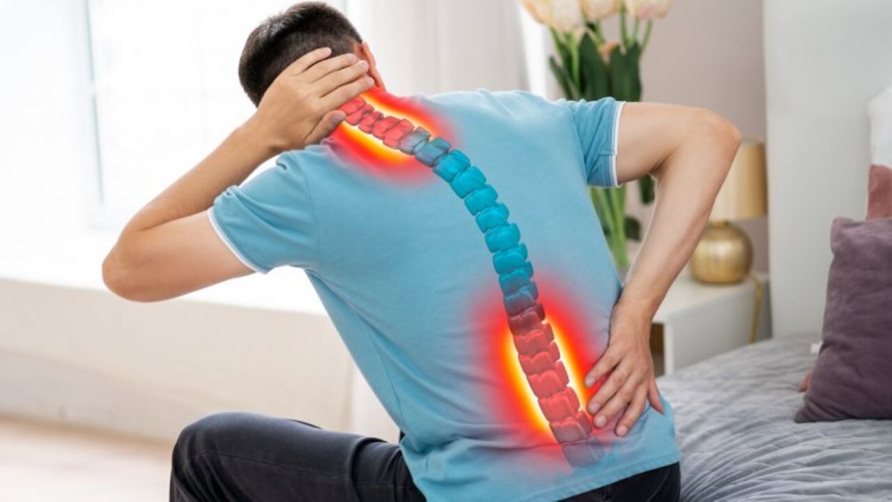 Yanlış yatak ve yastık omurga yapısını bozuyor! 