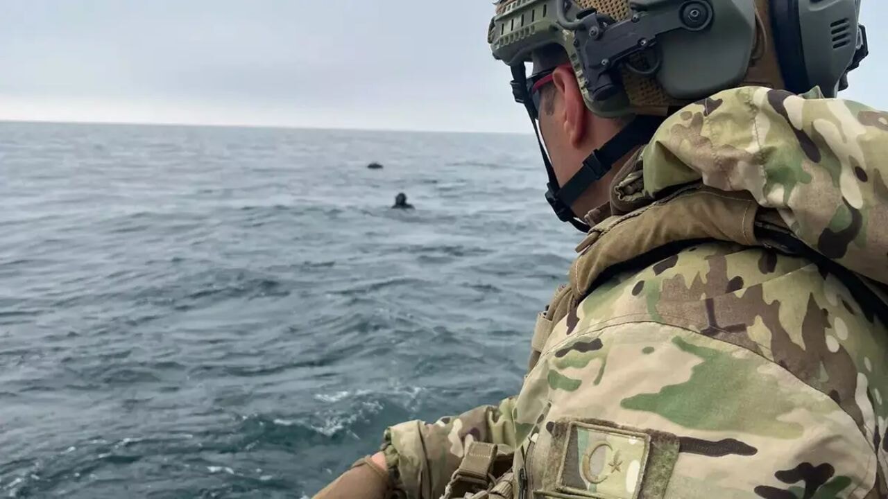 İğneada'da operasyon! SAS timleri imha etti!