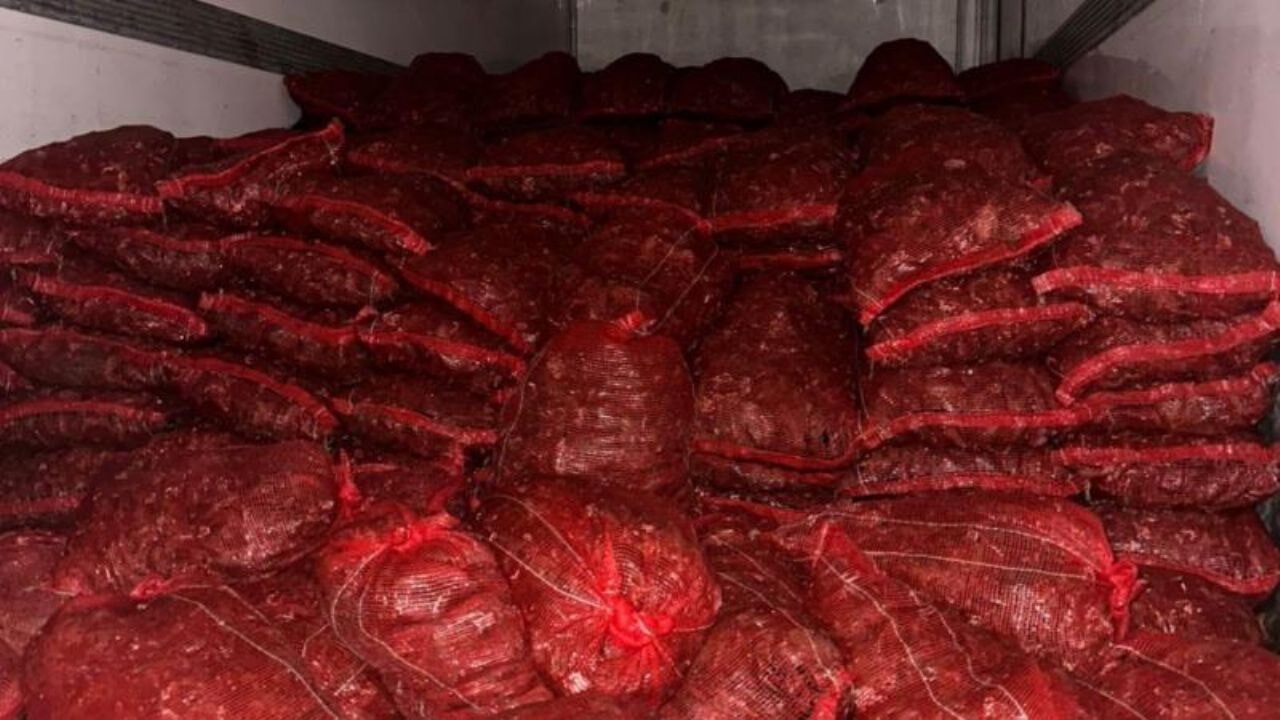 10 ton kaçak midye ele geçirildi