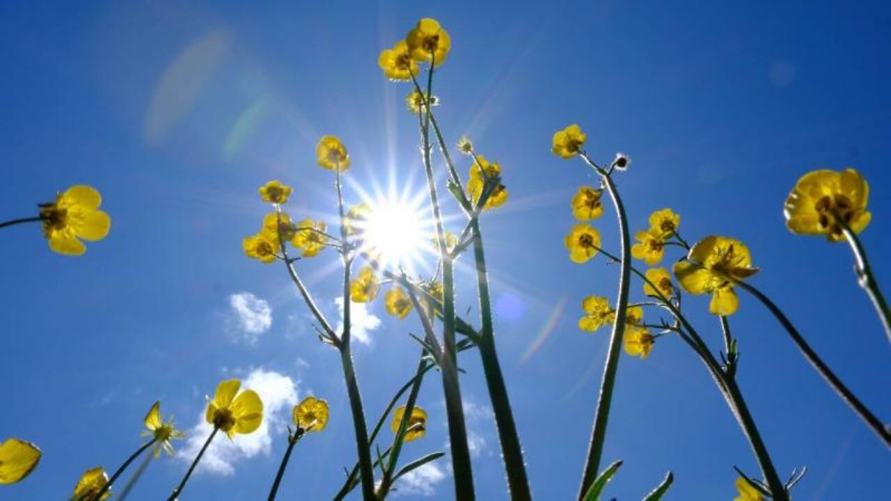 Yeni haftada bahar sıcakları başlıyor