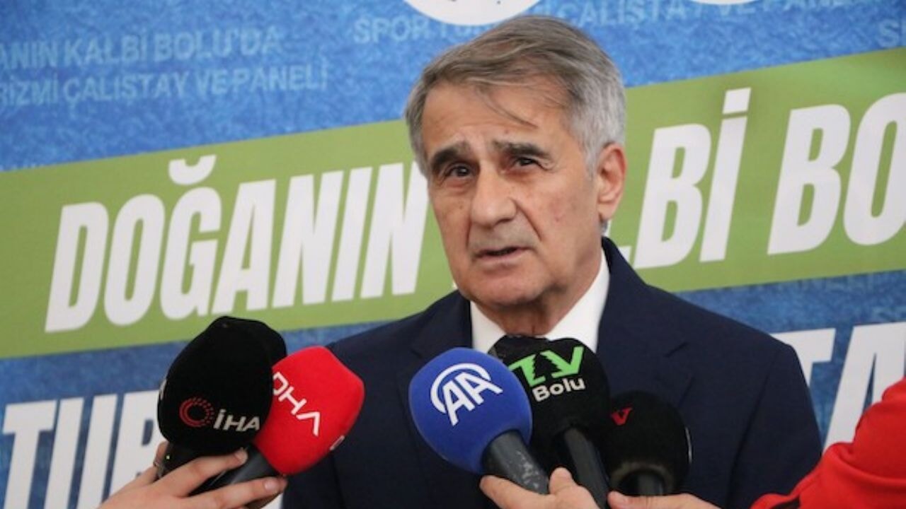 Şenol Güneş'ten milli takım yorumu