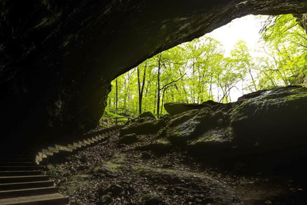 İngiltere'de 20 çocuk mağarada kayboldu