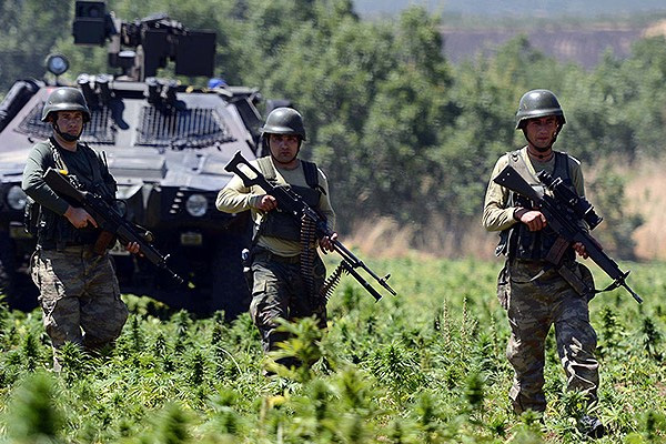 Lice’de 11 milyar liralık kenevir yakalandı