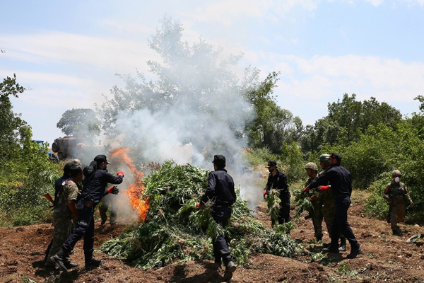 Kenevir eken çiftçiye destekleme yok