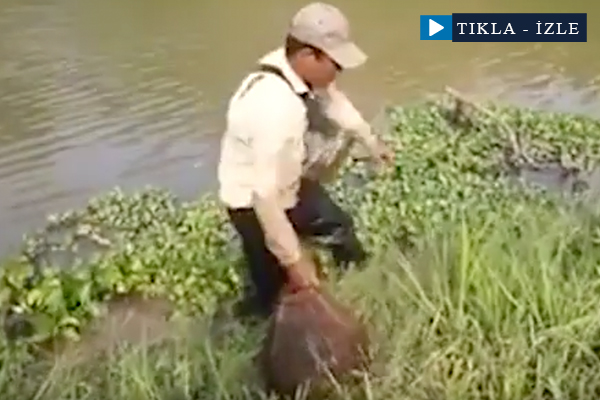 İlginç balık yakalama yöntemi