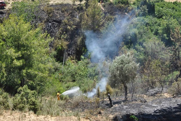 Antalya'da orman yangını