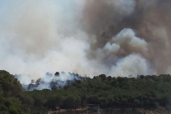 Gelibolu Yarımadası'nda orman yangını