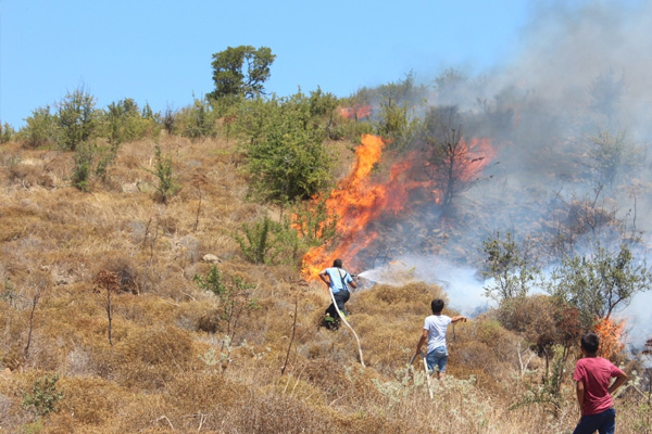 Bodrum'da korkutan yangın