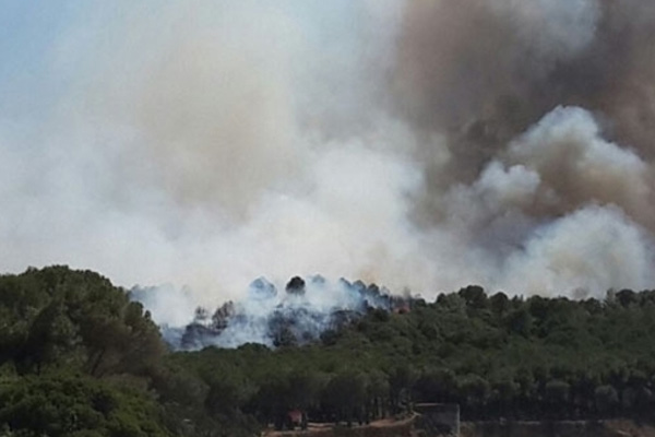 Gelibolu'daki orman yangını kontrol altına alındı