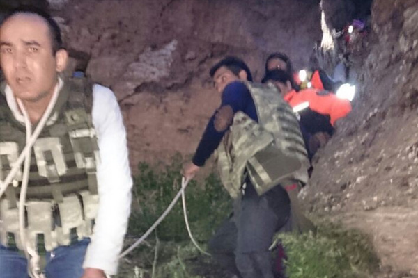 Kars'ta ayı dehşeti: 2 ölü