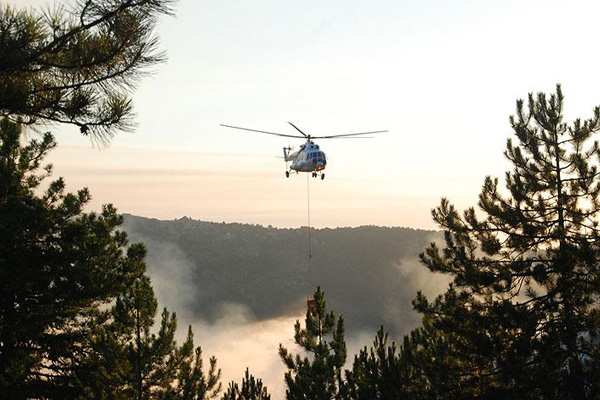 Aydın'daki orman yangını kontrol altında