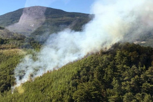 Alanya’da orman yangını